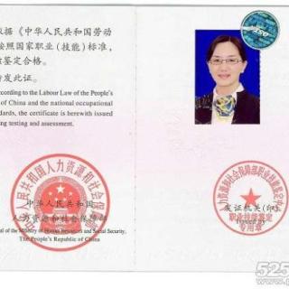 心理咨询师三级_北京职业咨询师的收入(3)