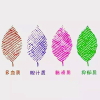 气质类型测评量表（TCI）—读懂真实的自己