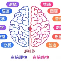 左右脑优势测试-国际通用版