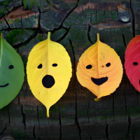 艾森克情绪稳定性测验(EES专业版)