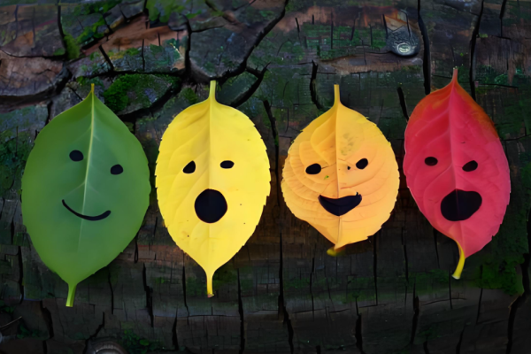 艾森克情绪稳定性测验(EES专业版)