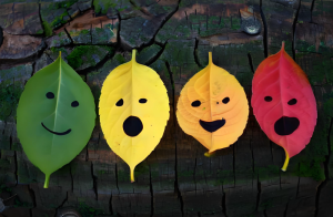 艾森克情绪稳定性测验(EES专业版)