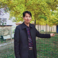 马金明
