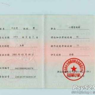 心理咨询师三级_北京职业咨询师的收入(2)