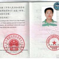 点击放大