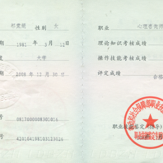 心理咨询师三级_北京职业咨询师的收入(2)