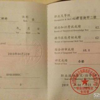 心理咨询师三级_北京职业咨询师的收入(2)