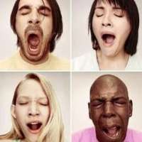 打哈欠真的会传染吗？