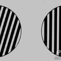 弯曲变形的格栅栏