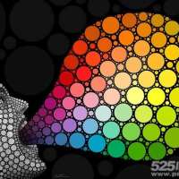 密集恐惧症测试