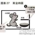 斯金纳箱