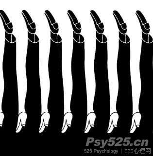 双关图_心理图库_心理学图_525心理网