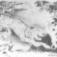 主题统觉测验图片