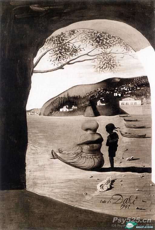 美丽的脸_错觉图_心理图库_心理学图_525心理网