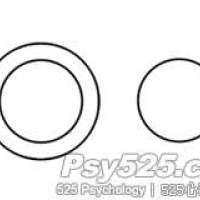 错觉—德勃夫错觉