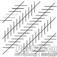 错觉—松奈错觉