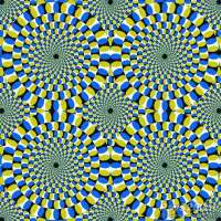 是静的还是动的